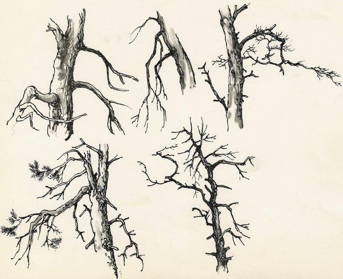 Dulieu, Jean - 1 Original drawing - vrij werk - Bomen in, Boeken, Stripverhalen