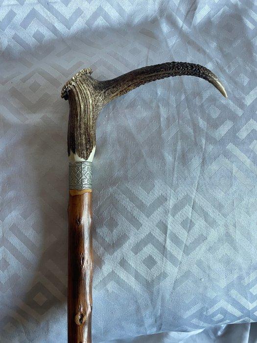 Wandelstok - Hout, Hoorn - hertengewei, Antiek en Kunst, Antiek | Overige Antiek