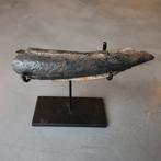 Stegodont - Gefossiliseerde slagtand - 26 cm