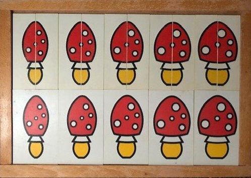 Van dun naar dik (paddenstoelen), Boeken, Schoolboeken, Verzenden