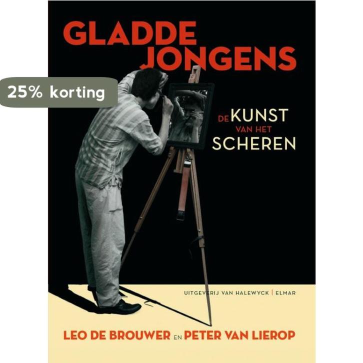 Gladde jongens 9789085530213 P. van Lierop, Boeken, Politiek en Maatschappij, Zo goed als nieuw, Verzenden
