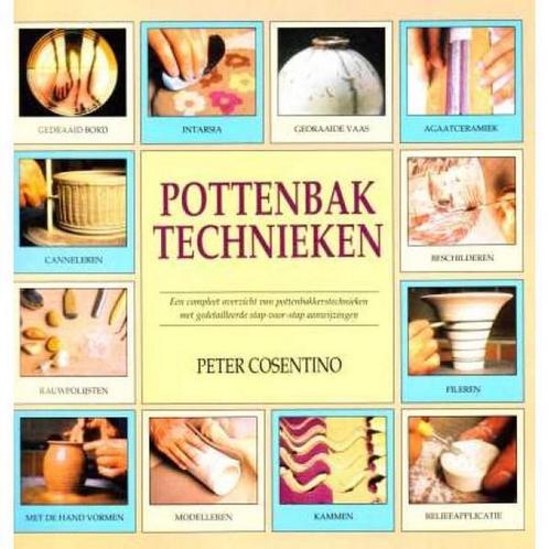 POTTENBAKTECHNIEKEN 9789057640865 P. Cosentino, Boeken, Hobby en Vrije tijd, Gelezen, Verzenden