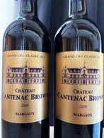2009 Chateau Cantenac Brown - Margaux 3ème Grand Cru Classé, Collections, Vins