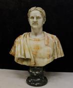 sculptuur, imperatore Cesare - 60 cm - Marmer, Onyx, porfier