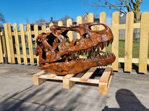 Dinosaurus Schedel - 1:1 Allosaurus Skull 83cm Museum, Antiek en Kunst, Kunst | Designobjecten