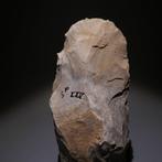 Neolithisch Big Flint. 13,5 cm L. Mes - 5000 v.Chr. Bijl, Antiek en Kunst