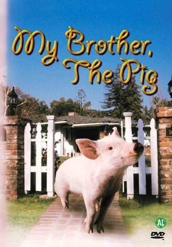My brother the pig (dvd tweedehands film), Cd's en Dvd's, Dvd's | Actie, Ophalen of Verzenden