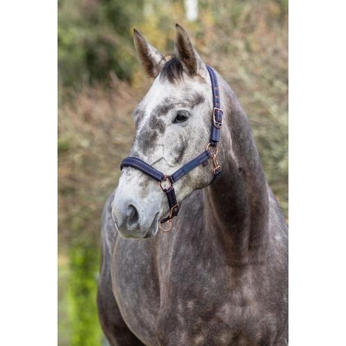 Licol royal bleu/caramel, grand cheval - kerbl, Dieren en Toebehoren, Paarden en Pony's | Overige Paardenspullen