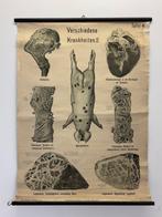 Lesmateriaal - Werner and Winter Frankfurt - Hout, Papier,