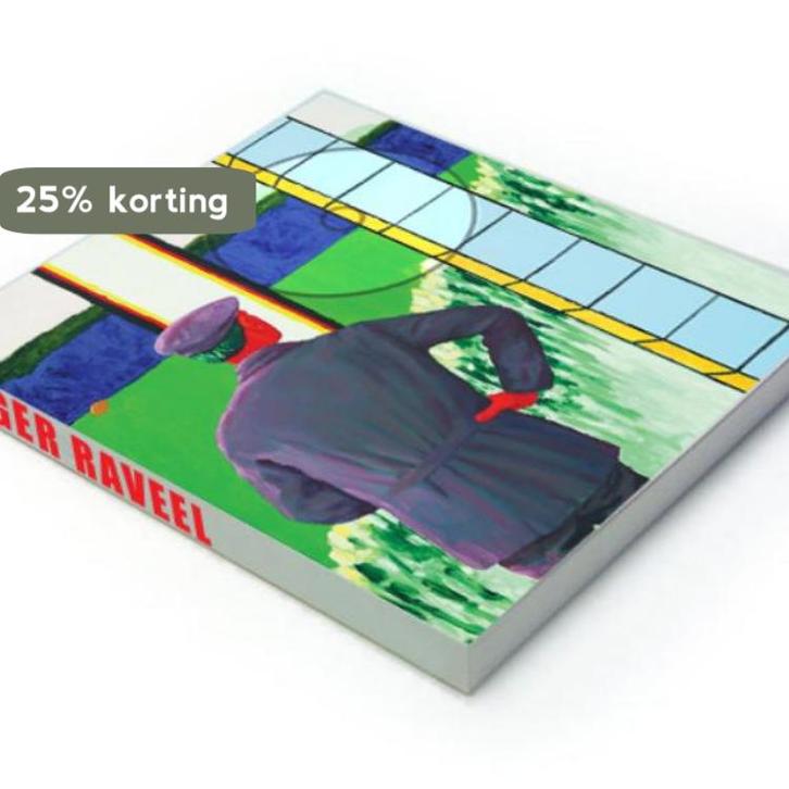 Roger Raveel 9789089103017, Boeken, Kunst en Cultuur | Beeldend, Zo goed als nieuw, Verzenden