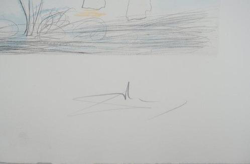 Salvador Dali (1904-1989) - Hommage à Albrecht Durer : Adam, Antiek en Kunst, Antiek | Overige Antiek
