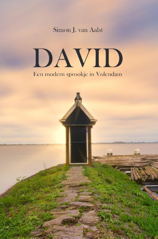 David 9789464034042 Simon van Aalst, Livres, Romans, Envoi