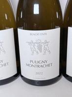 2022 Benoit Ente - Puligny Montrachet - 3 Flessen (0.75, Collections