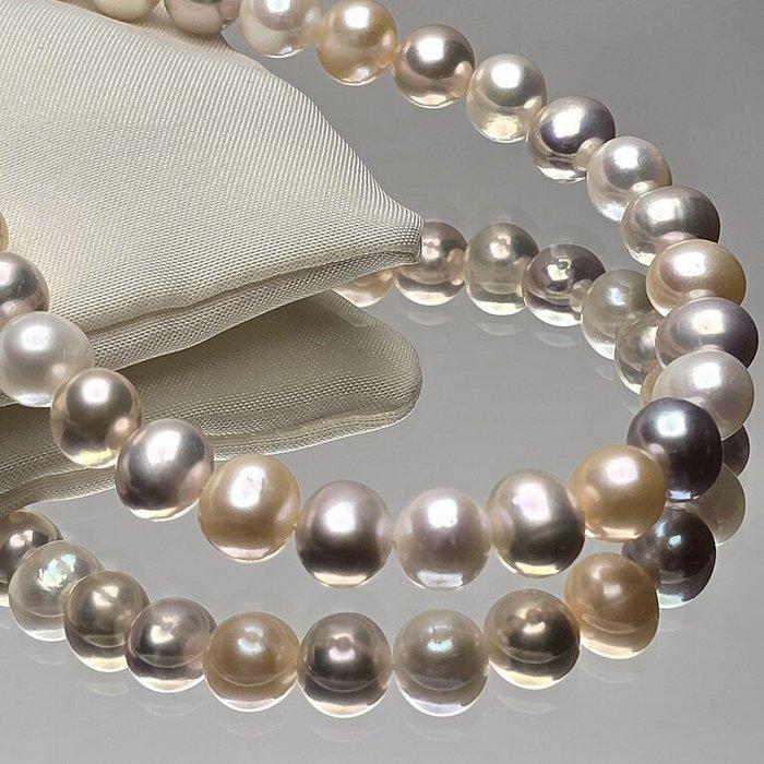 Filo di perle dacquadolce multicolore aardappelen Ø 8/9 mm, Verzamelen, Mineralen en Fossielen