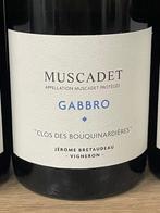 2020 Domaine de Belle Vue (Jerome Bretaudeau), Muscadet, Verzamelen, Nieuw