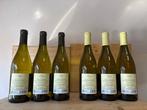 2023 x3 Sauvignon Piere &. 2023 x3 Friulano Dolée, Vie di, Nieuw