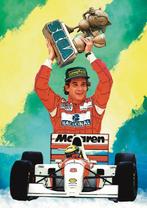 Mclaren - Ayrton Senna - McLaren 1993 European Grand Prix