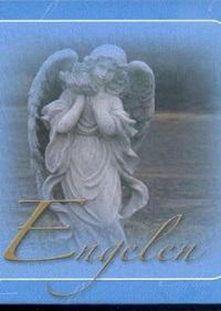 Wijze uitspraken over engelen 9789055138746 Gerd de Ley, Boeken, Stripverhalen, Zo goed als nieuw, Verzenden