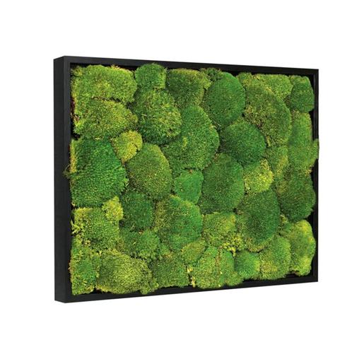 Mosschilderij Bolmos 80x120 cm Zwart, Huis en Inrichting, Woonaccessoires | Lijsten, Verzenden