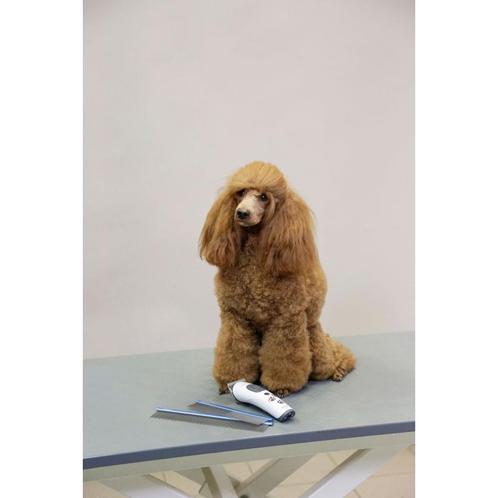 Vachtkam 202x40x5 mm, met rvs-greep, aesculap - kerbl, Dieren en Toebehoren, Honden-accessoires, Nieuw