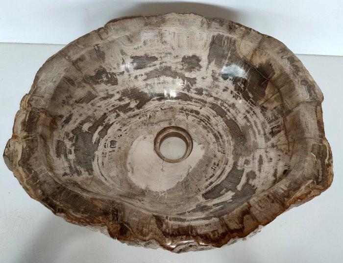 Waskom - Versteend hout - wastafel, Verzamelen, Mineralen en Fossielen
