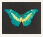 Damien Hirst (1965) - To Believe