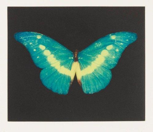 Damien Hirst (1965) - To Believe, Antiek en Kunst, Kunst | Schilderijen | Modern