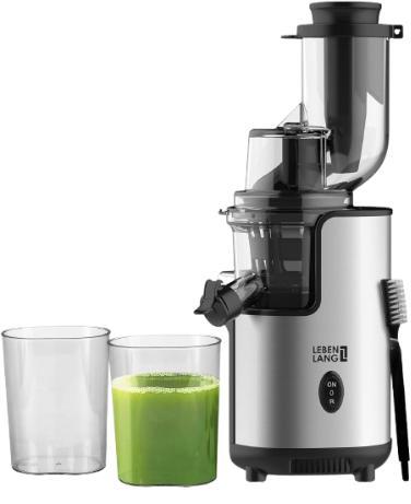 2dekans | Lebenlang Elektrische Slowjuicer & Sapcentrifuge –, Electroménager, Extracteurs de jus, Enlèvement ou Envoi