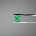 Zonder Minimumprijs Groen Smaragd - 1.88 ct - International, Nieuw