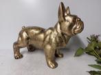 Beeld, French bulldog bronze garden or for indoor - 39 cm -, Antiek en Kunst