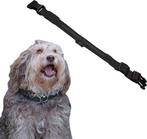 2eChoix | Dutchwide Collier Lumineux Chien Extra Fort M 37, Dieren en Toebehoren, Ophalen of Verzenden, Nieuw