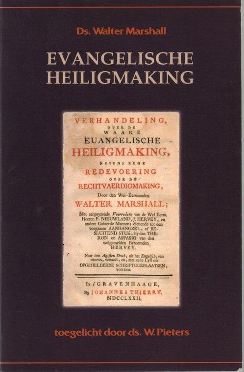 Evangelische Heiligmaking 9789080238961, Livres, Religion & Théologie, Envoi