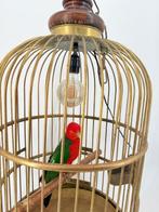 Mannelijke Koningsparkiet in Antieke Kooi Taxidermie, Nieuw