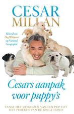 Cesars aanpak voor puppys 9789048820924, Boeken, Gelezen, Melissa Jo Peltier, Cesar Millan, Verzenden
