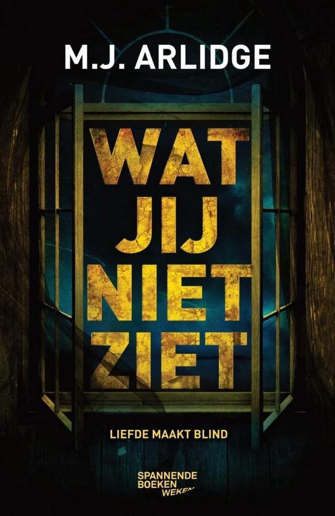 Wat jij niet ziet 9789059655201 M.J. Arlidge, Boeken, Thrillers, Zo goed als nieuw, Verzenden
