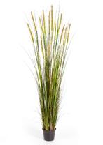 Kunstplant Vossenstaart Gras Groen 180 cm, Verzenden