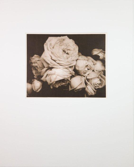 Edward Steichen (1879–1973) - Heavy Roses, Voulangis,, Antiek en Kunst, Kunst | Schilderijen | Modern