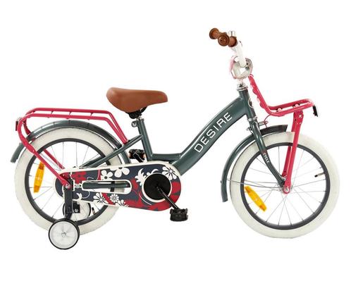 2Cycle Desire - Grijs-Roze - Meisjesfiets 4 tot 6 jaar, Vélos & Vélomoteurs, Vélos | Vélos pour enfant, Envoi