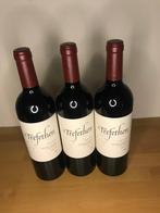 2019 Trefethen, Merlot - Napa Valley - 3 Fles (0,75 liter), Verzamelen, Nieuw