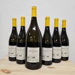2024 Magnum & 2024 x5 Vette - Tenuta San Leonardo - Trentino, Verzamelen, Nieuw