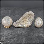 Gefluister van de ozeanen – Versteende koralen in bol, ei &