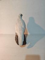 Pernice bianca Taxidermie volledige montage - Lagopus muta -, Verzamelen, Nieuw