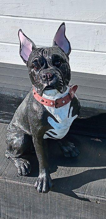 sculptuur, Realistisch beeld boxer hond - 48 cm - RESIN -, Antiek en Kunst, Kunst | Designobjecten