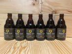 Brouwerij van Vlaanderen - Vlaamsche Leeuw Dark - 33cl - 12, Nieuw