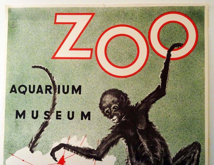 Robert Landois - ZOO Anvers Aquarium & Museum - jaren 1950, Antiek en Kunst, Kunst | Tekeningen en Fotografie