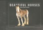 Beautiful Horses Postcard Book 9781782402497 Liz Wright, Verzenden, Liz Wright