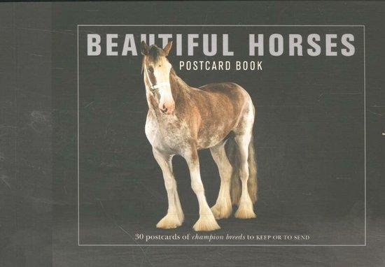 Beautiful Horses Postcard Book 9781782402497 Liz Wright, Livres, Langue | Anglais, Envoi