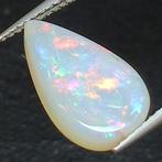 1 pcs Multicolore Opale - 2.58 ct - Antwerp Laboratory for, Verzamelen