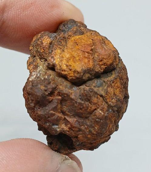 SERICHO PALLASITE Forme libre - Hauteur : 17.6 mm - Largeur, Verzamelen, Mineralen en Fossielen