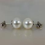 Zonder minimumprijs - Oorbellen Zilver Parel - Southsea, Nieuw